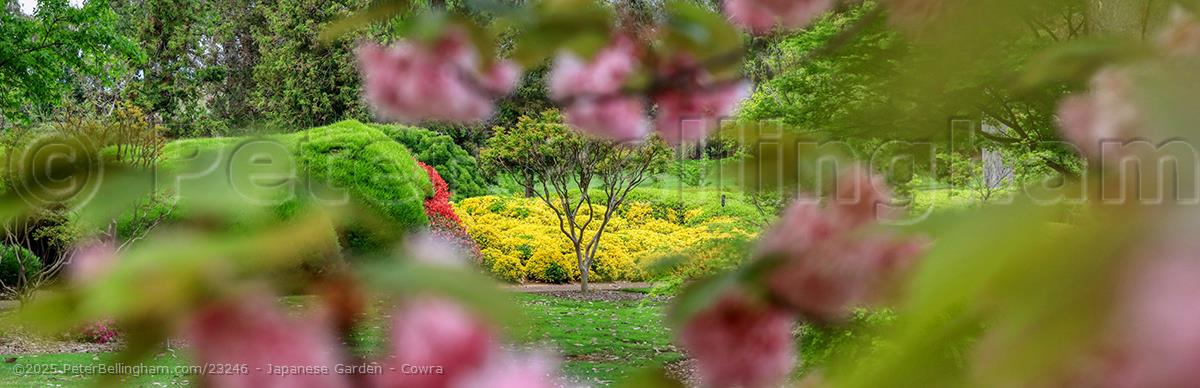 Peter Bellingham Photography Japanese Garden - Cowra
